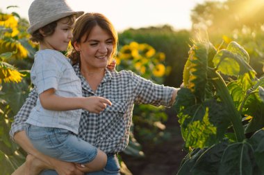 Anne ve küçük oğlu altın saat boyunca ayçiçeği tarlasında. Anne ve oğul doğada aktiftir.
