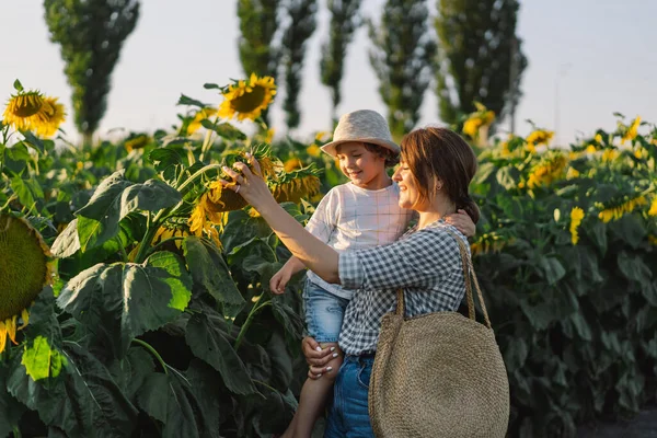 Ibu dengan bayi laki-laki kecil di ladang bunga matahari selama jam emas. Ibu dan anak yang aktif di alam — Stok Foto