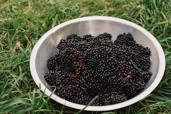 Raw ripe elderberry in a bowl standing on a green grass, top down view. Clusters fruit black elderberry. Sambucus nigra — Stock Photo, Image