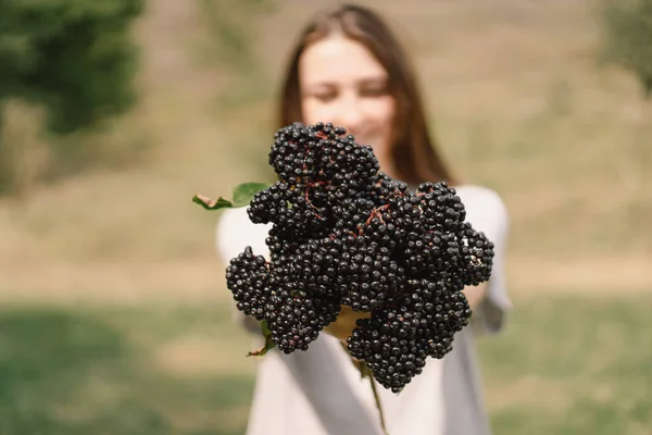 Girl holds in hands clusters fruit black elderberry. Sambucus nigra. Black elder. European black elderberry background — Stock Photo, Image