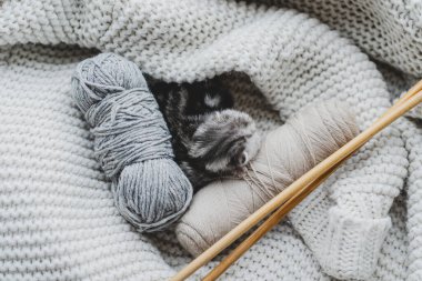 Küçük, tüylü bir kedi yavrusu yumuşak ipliklerin arasında huzur içinde uyuyor. Sıcak ortam sıcak battaniyeler içeriyor, dinlenmek için mükemmel sakin bir atmosfer yaratıyor..