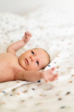 Yumuşak, renkli bir battaniyenin üzerine uzanmış yeni doğmuş bir bebek meraklı bir şekilde geniş gözlerle izleyiciye bakıyor. Sıcak atmosfer, bebeklerin nazik ve masum özelliklerini vurgular..