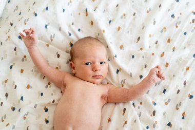 Yumuşak, renkli bir battaniyenin üzerine uzanmış yeni doğmuş bir bebek meraklı bir şekilde geniş gözlerle izleyiciye bakıyor. Sıcak atmosfer, bebeklerin nazik ve masum özelliklerini vurgular..