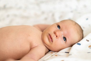 Yumuşak, renkli bir battaniyenin üzerine uzanmış yeni doğmuş bir bebek meraklı bir şekilde geniş gözlerle izleyiciye bakıyor. Sıcak atmosfer, bebeklerin nazik ve masum özelliklerini vurgular..