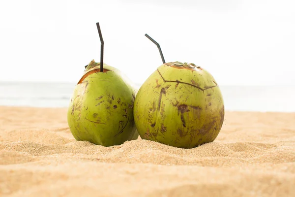 Two fresh coco  drinking coconuts on the tropical beach — Stock Photo, Image