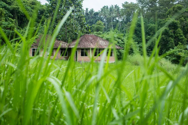 Casa abandonada en el bosque — Foto de Stock