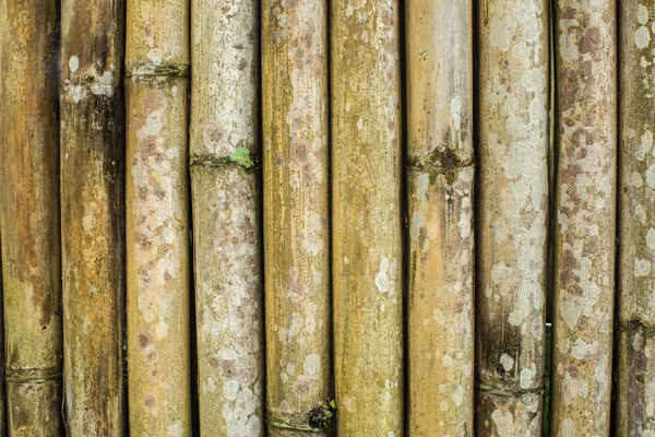 Bamboo wall. The texture of old bamboo