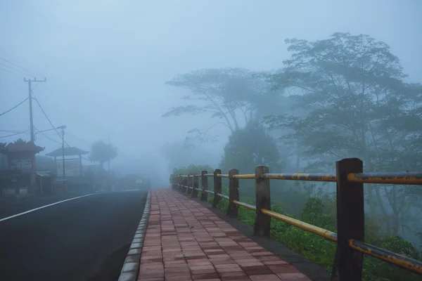 Mglisty poranek w górach w Bali — Zdjęcie stockowe