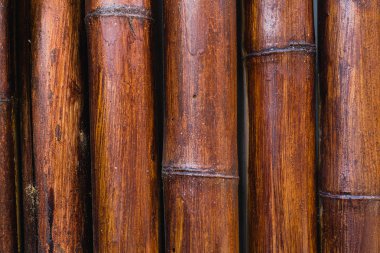 Bambu doku desen backgroung