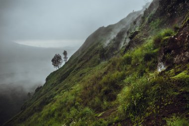 Güzel dağ sabah sis, Batur, Bali, Indonesi