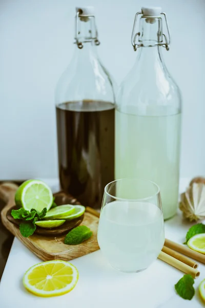 Vista superior de Kombucha casero con frutas — Foto de Stock