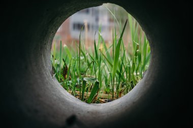 Tünel çim Manzaralı