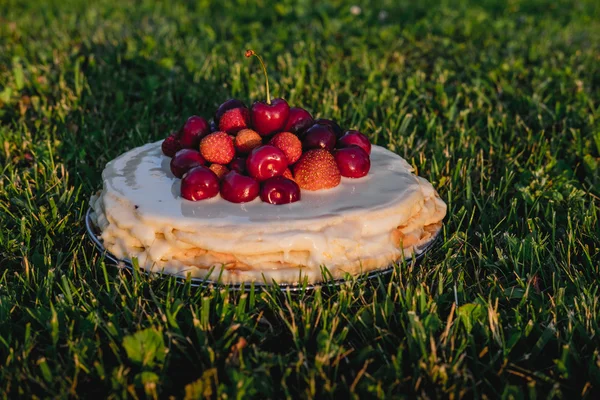 果実とケーキが草の上に立つ — ストック写真