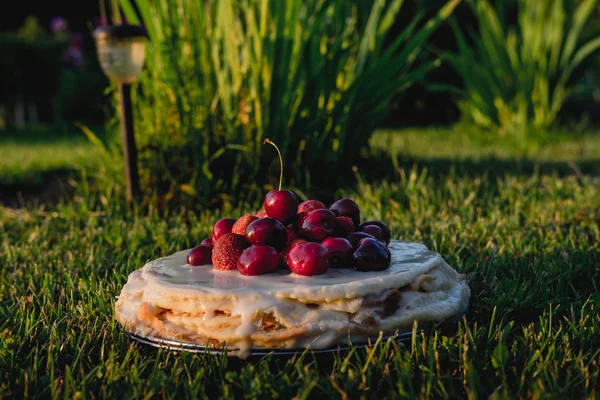 果実とケーキが草の上に立つ — ストック写真
