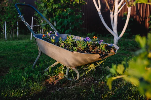 Jardin fleuri décoratif avec chariots à la station — Photo