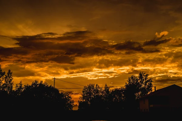 Coucher de soleil dans la forêt — Photo