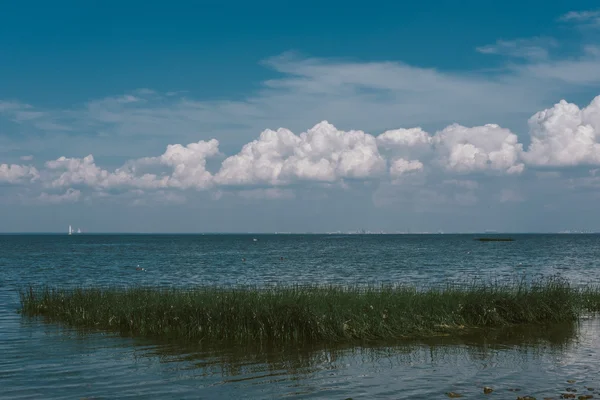 Bela vista da praia no golfo finlandês, São Petersbur — Fotografia de Stock