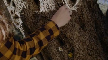 Kadın zeytin ağacını çiçeklerle süslüyor. Ahenk Sakinleşmesi. Dünya Yeşil Gezegeni kurtar .