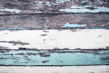 Yaşlı bir ağacın dokusu