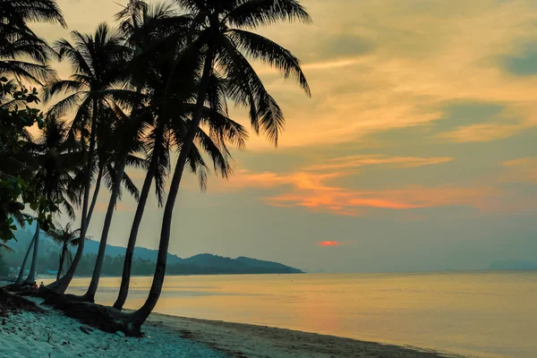 海に沈む夕日。サムイ島、タイ — ストック写真