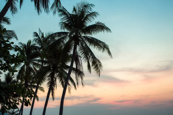Deniz on Sunset. Koh Samui, Tayland — Stok fotoğraf