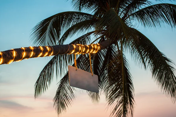 Palme mit Taschenlampen am Strand. Thailand. — Stockfoto