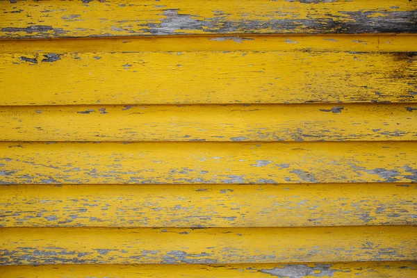 Желтая текстура дерева — стоковое фото