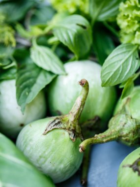 Patlıcan ve yeşil otlar