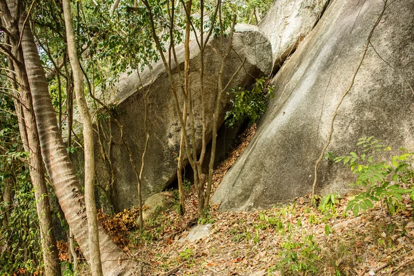 Μεγάλοι βράχοι στο δάσος — Φωτογραφία Αρχείου