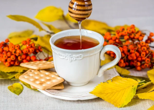Tea with honey and autumn leafs — Stock Photo, Image