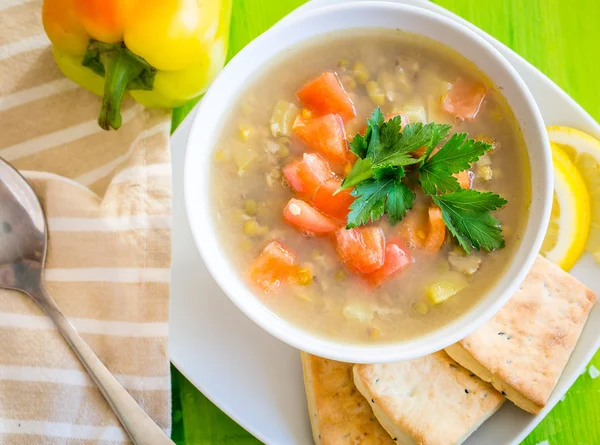 Fresh lentil stew in bowl with parsley — Stock Photo, Image