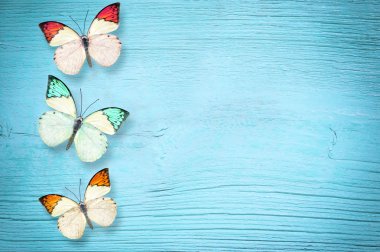 Bir mavi ahşap arka plan üzerinde Kelebek