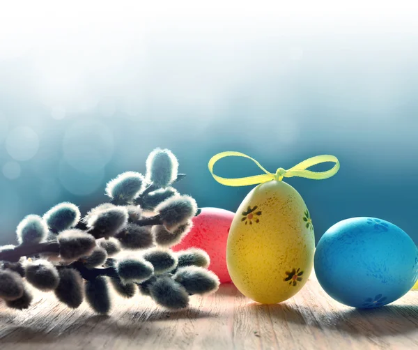 Colorido páscoa ovos e bichano-salgueiro no fundo azul — Fotografia de Stock