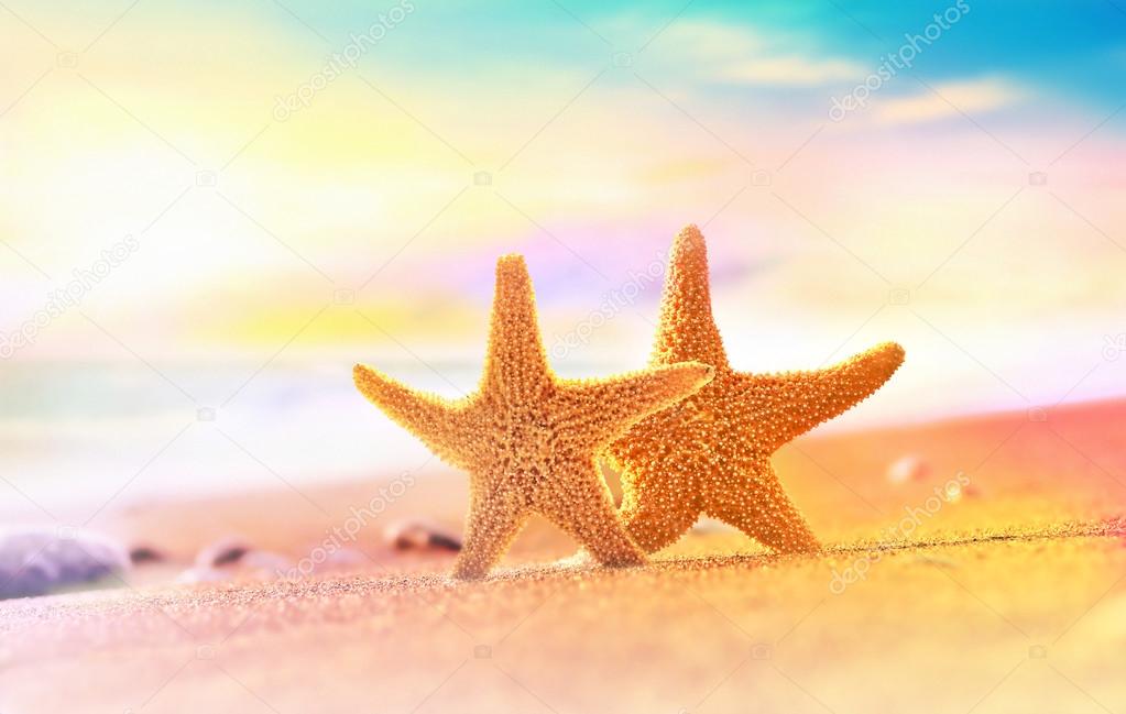 Starfish on the sandy beach 