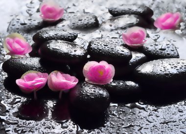 Çiçekler ve siyah taşlar. Spa konsept.