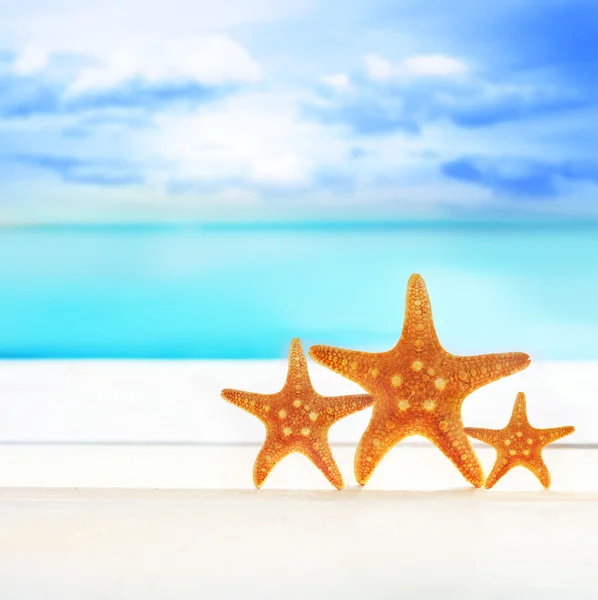 Estrella de mar en la playa de arena — Foto de Stock