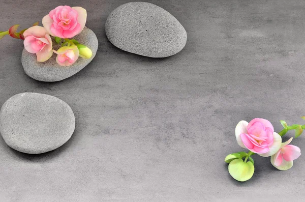 在灰色的背景上的花和石头禅 spa — 图库照片