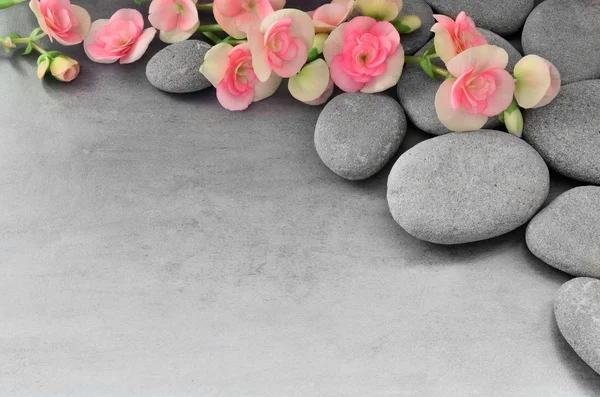 Kwiat i kamień spa zen na szarym tle — Zdjęcie stockowe