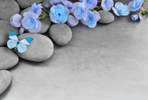 石の背景の青い花と蝶. — ストック写真