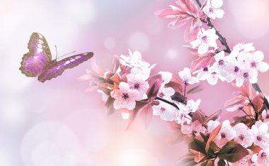 güzel kelebek ve çiçek