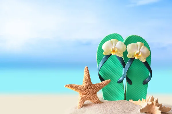 Paar Flipflops im Sand eines Strandes Stockbild