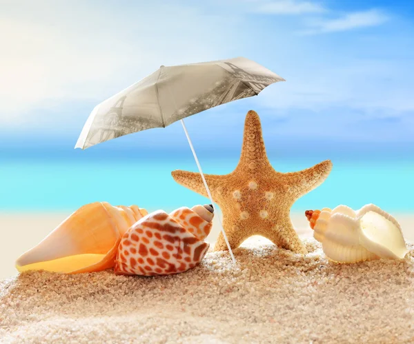 Starfish with parasol and shells on the beach — Stock Photo, Image