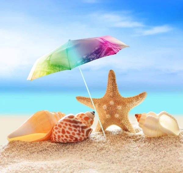 Estrella de mar con sombrilla y conchas en la playa — Foto de Stock