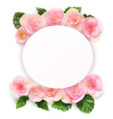 Beyaz arka plan üzerinde izole çeşitli kırmızı çiçekler