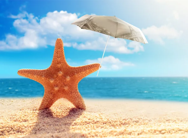 Estrella de mar con sombrilla en la playa — Foto de Stock