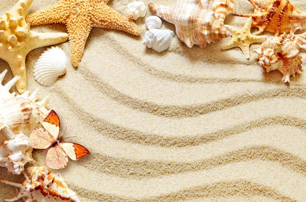 Muchas conchas marinas, estrellas de mar y mariposas en la arena . — Foto de Stock