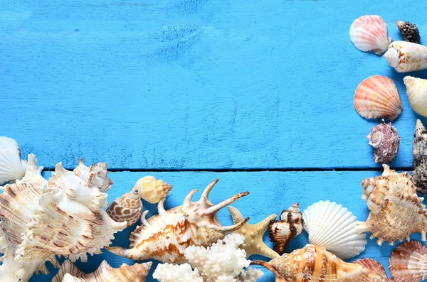 貝殻やヒトデの木製の背景 — ストック写真