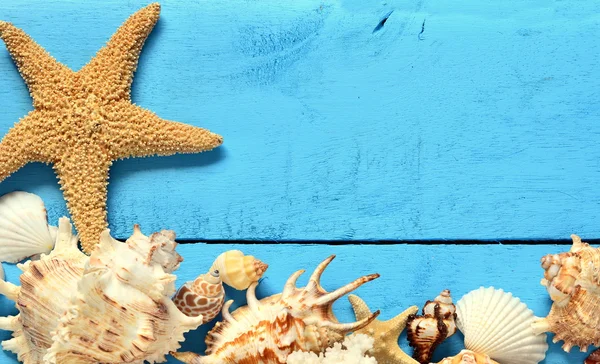 Coquillages et étoiles de mer sur fond en bois — Photo