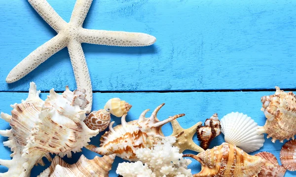 Conchas marinas y estrellas de mar sobre fondo de madera —  Fotos de Stock