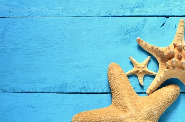 Denizyıldızı ahşap mavi arka plan üzerinde.